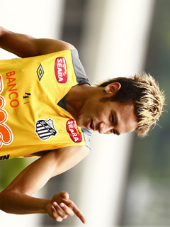 �ӋC���ރl�C�}�[�� ��đ�\�T���g�X���