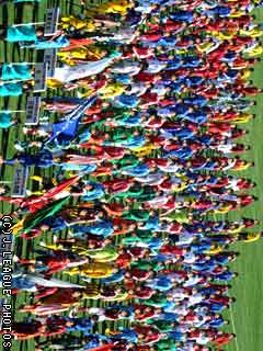 ���w�@�v��R������ �S�����Z�T�b�J�[�J��