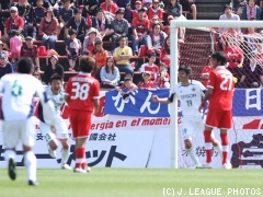 ���{���F�{�ɏ��� 